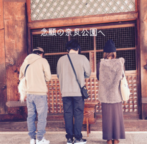 念願の奈良公園へ