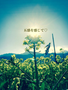 五感を感じて