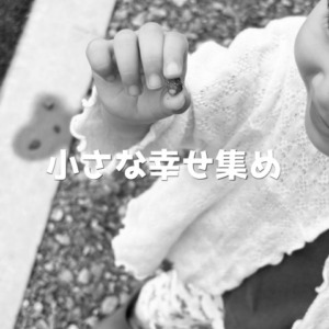 小さな幸せ集め🕊️